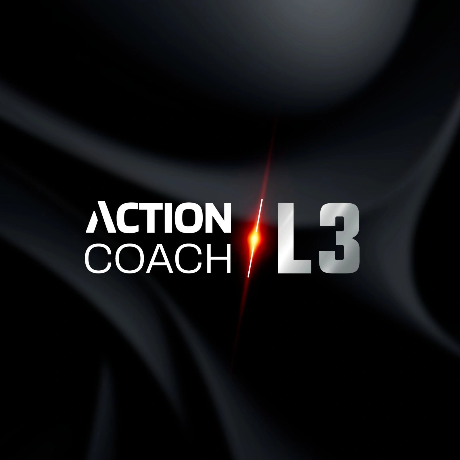 discipline coaching program